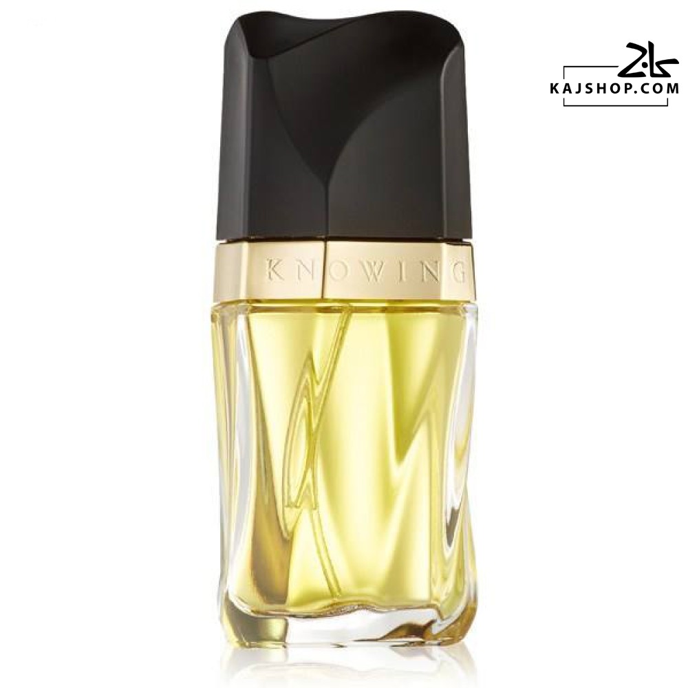 عطر استی لودر ناوینگ ادو پرفیوم زنانه