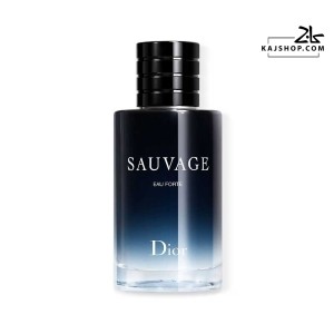 عطر ادکلن مردانه دیور ساواج او فورت