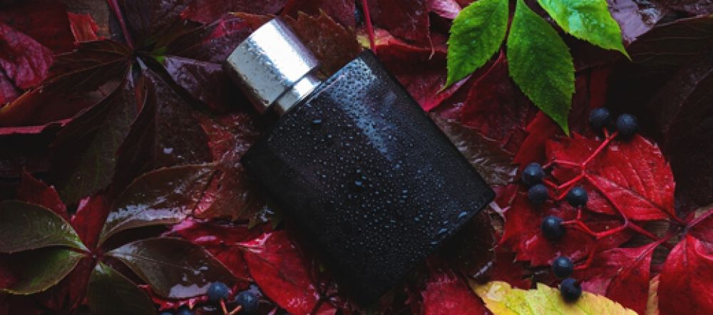 عطر مردانه، بهترین عطر مردانه، عطر مردانه پاییزی، کاج شاپ